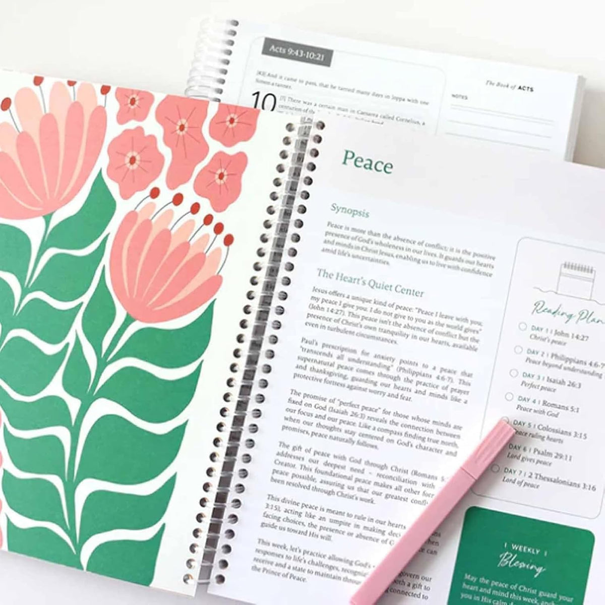 The Year-Long Journey in Faith Workbook™